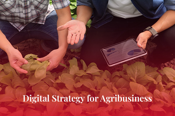 Digital Strategy for Agribusiness