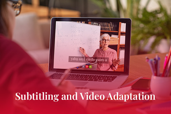 Subtitling and Video Adaptation